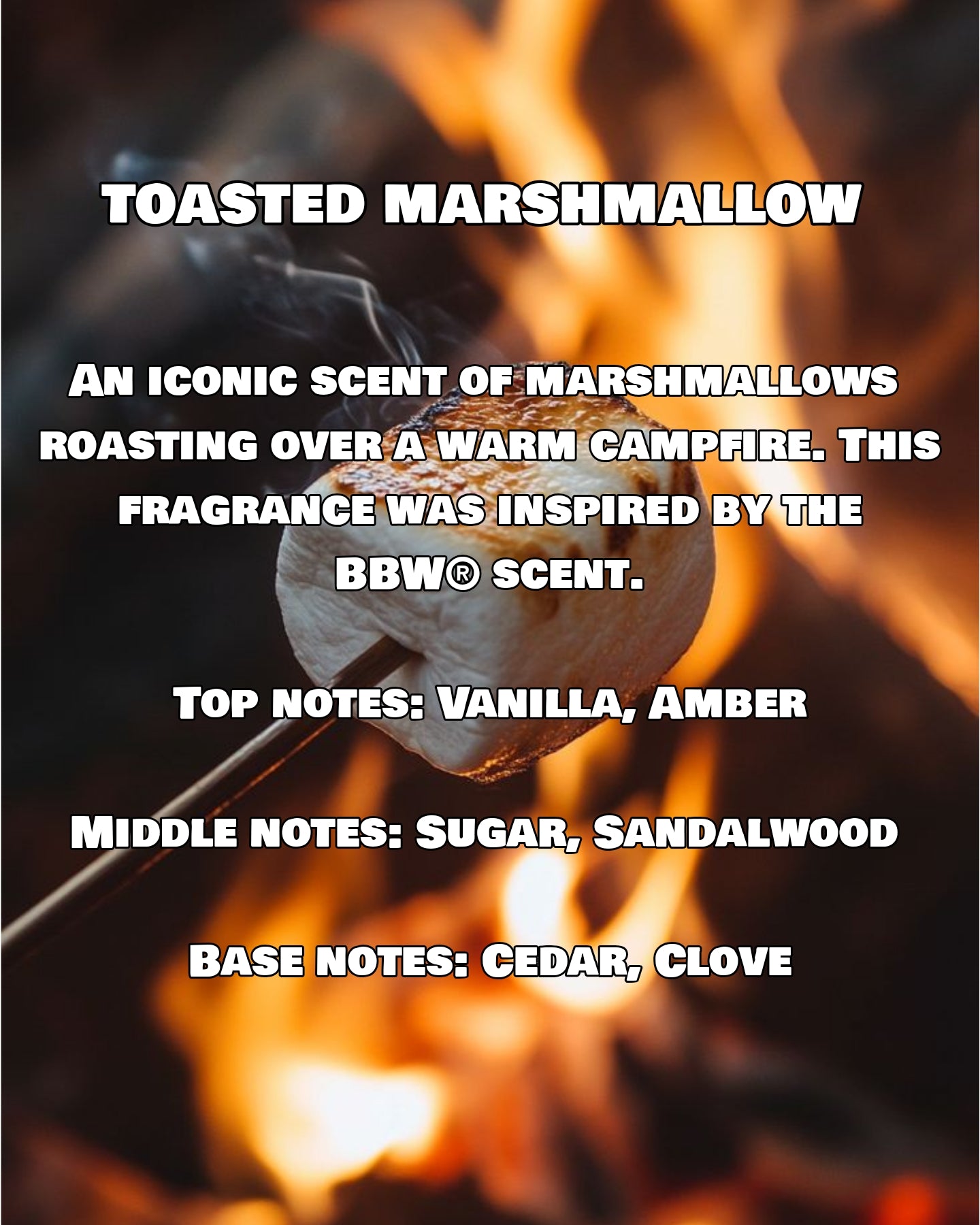 Snap - Wax Melts